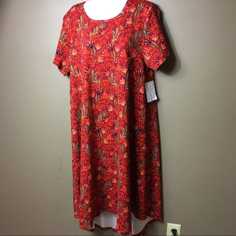 LuLaRoe Carly - Size L
